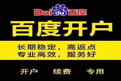百度推广代运营案例：案例分享：打造爆款产品